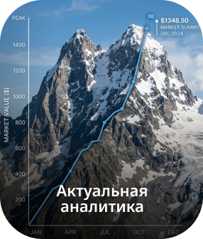 Обзоры рынка
